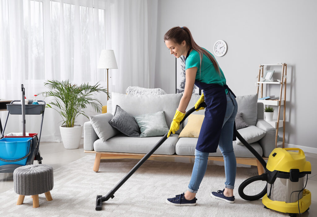 Standard House Cleaning Service